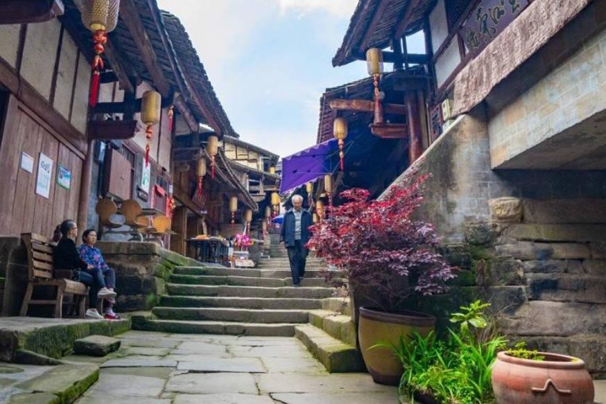 2024春节山东乡村文化旅游节丨“硬核”新农人的南果北种好“丰”景
